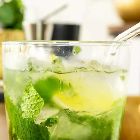 Novotel Pau Pyrénées Hotel Lescar