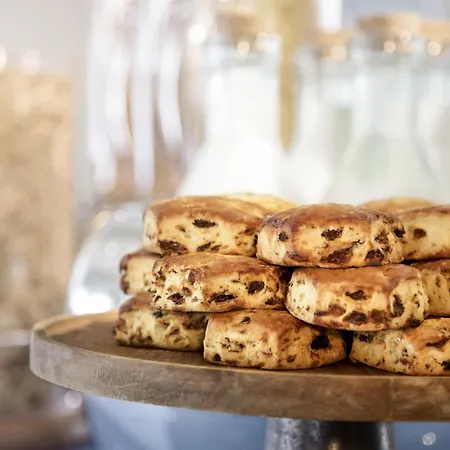 Novotel Pau Pyrenees Otel