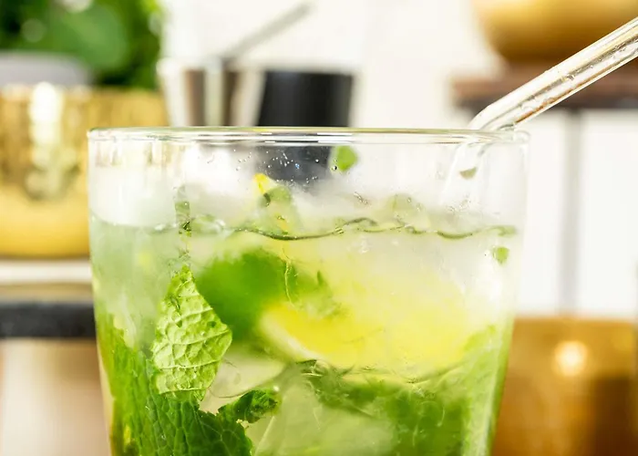 Novotel Pau Pyrenees Hotel Lescar